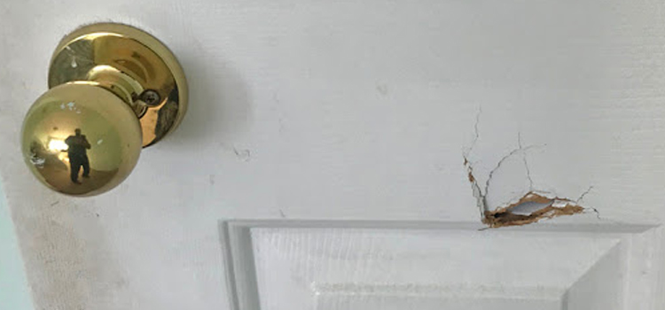 interior door hole repair Galt